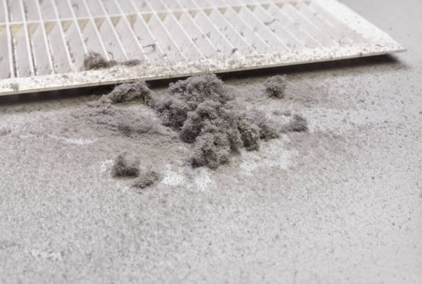 Best HVAC Air Duct Cleaning  in Fort Washakie, WY